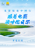 1080P手机在线看