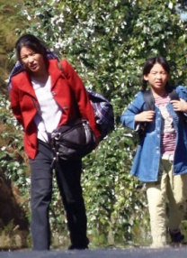 BD国语电影免费在线