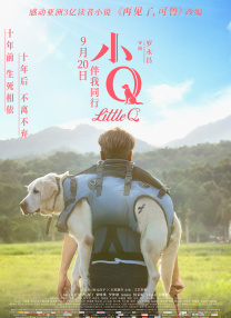 全集免费观看超清